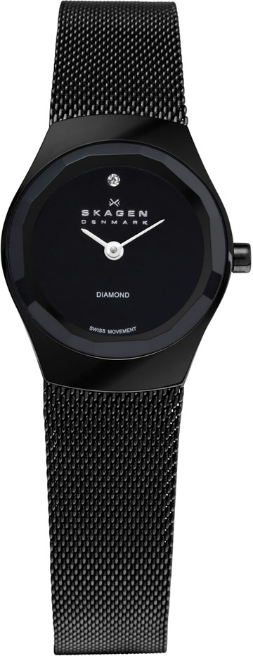 Ladies Skagen Watch 432SBSB