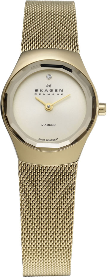 Ladies Skagen Watch 432SGSG