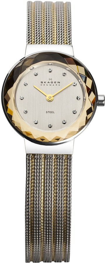 Ladies Skagen Watch 456SGS1